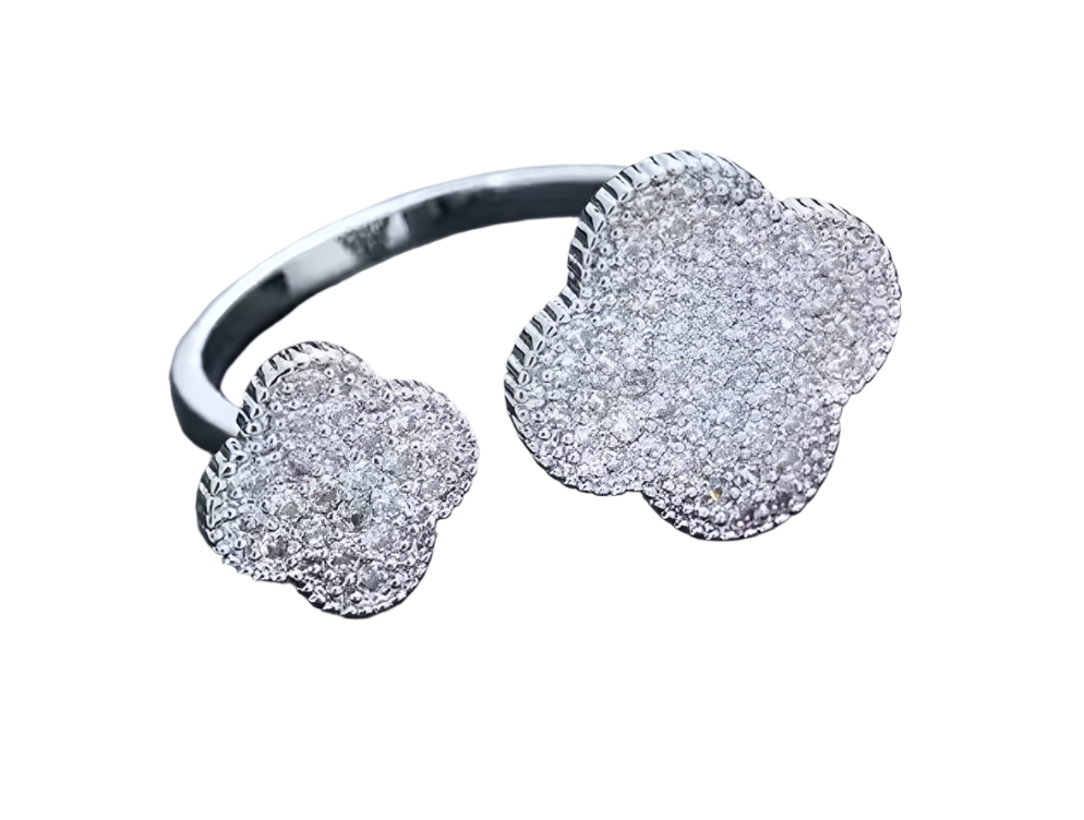 Bold Silver Van Cleef Set - Stainless Steel